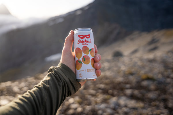 Sidekick Soda at Wilmot Saddle, New Zealand