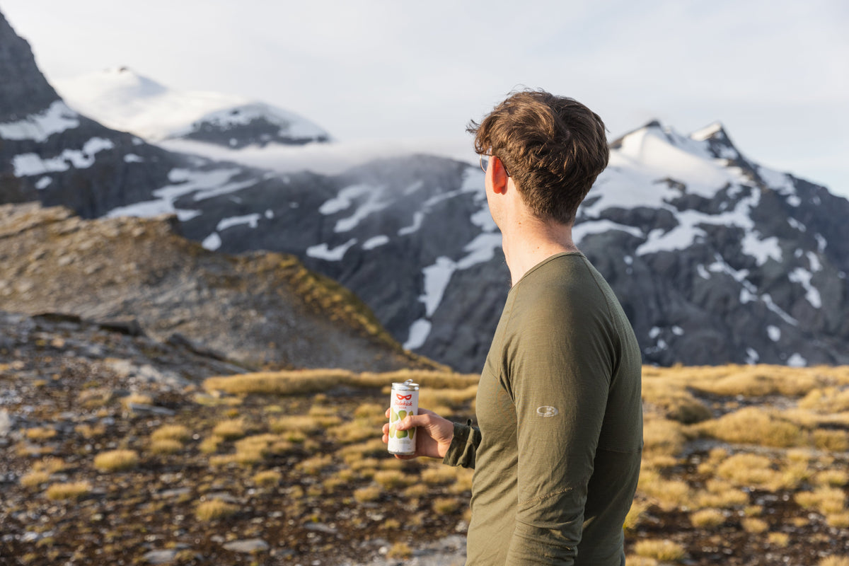 Sidekick Soda on a Southern Alps day trip from Queenstown
