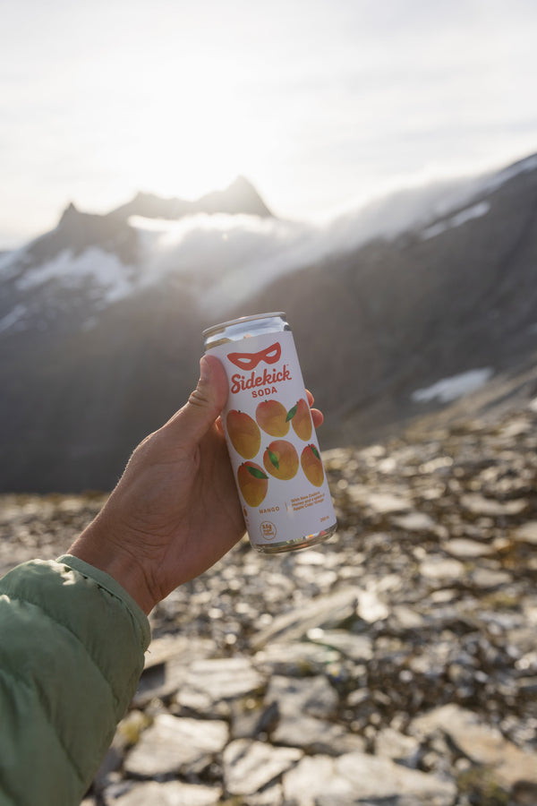 Sidekick Mango on a Southern Alps track